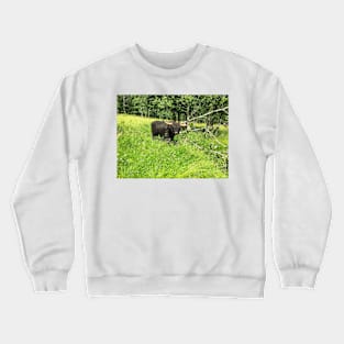 Scottish Highland Cattle Bull 2430 Crewneck Sweatshirt